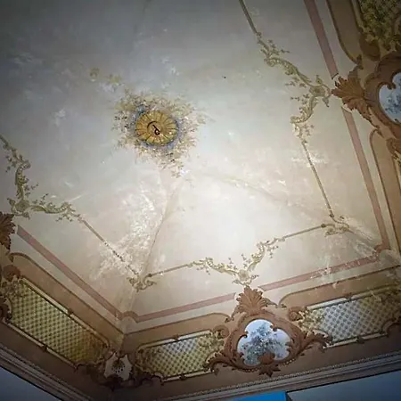 Bed and breakfast Gatto Bianco House